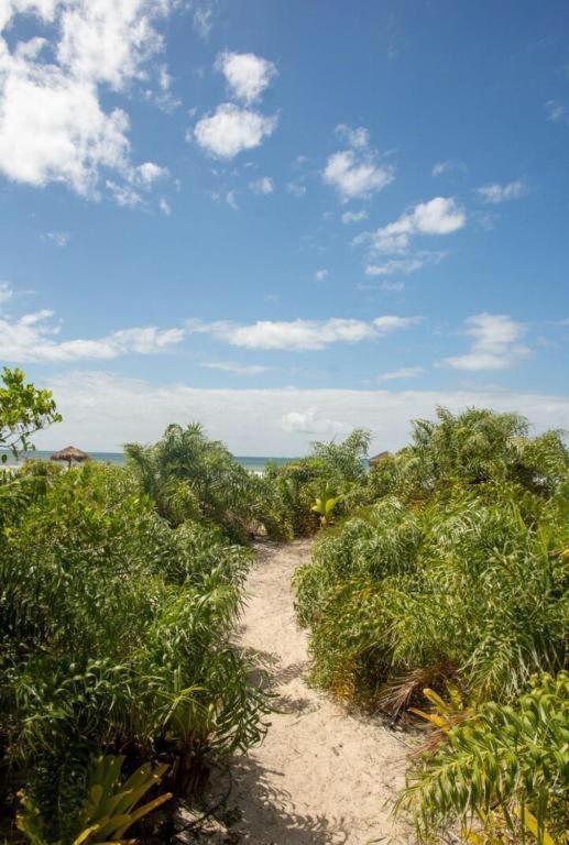 Cond Praia Da Perola - Apt Rosa 7 伊列乌斯 外观 照片